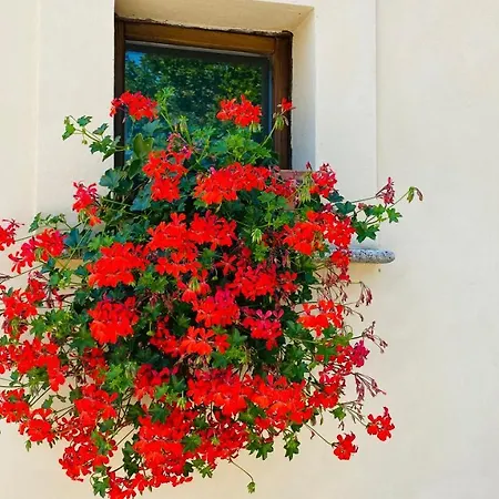 Ξενοδοχείο Cacio Re 2*